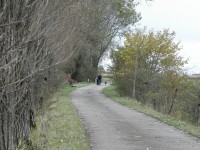 /album/fotogallerij/beswerder-ree-jpg/